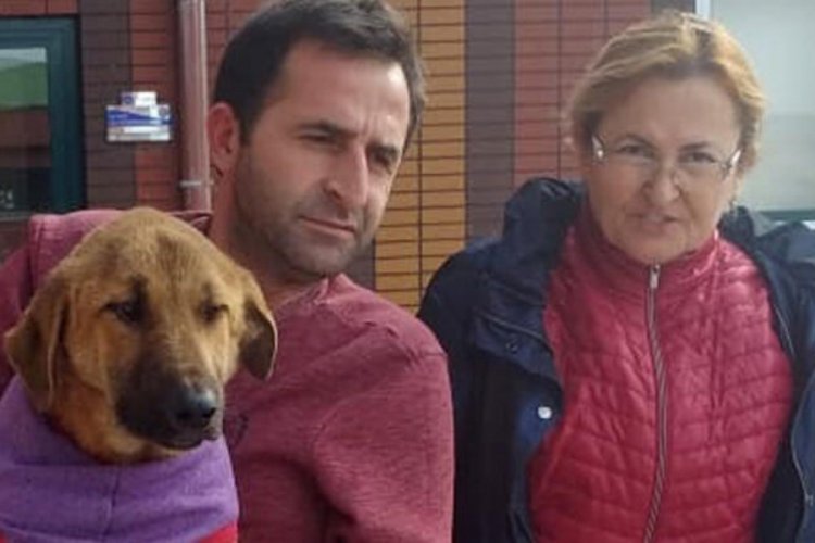 &Ccedil;&ouml;pte bulunan fel&ccedil;li k&ouml;pek sahiplendirildi