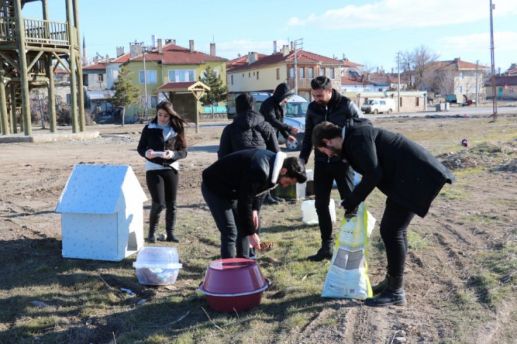 &Ouml;ğrencilerden sokak hayvanlarına "sıcak bir yuva" projesi