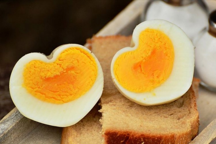 G&uuml;nde bir yumurta kalp hastalığı riskini artırmıyor