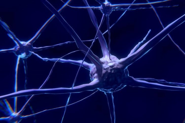 Parkinson'a erken yaşta yakalananların beyin h&uuml;creleri doğuştan hasarlı olabilir