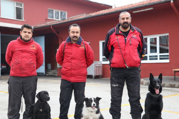 Sokakta bulunup eğitilen 'Ex' ve 'Dora' depremde hayat kurtardı