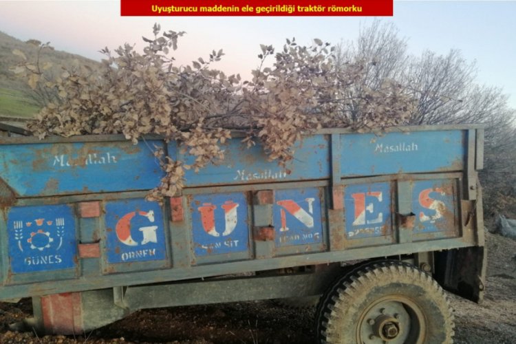 Uyuşturucuyu kestikleri ağa&ccedil; dallarının arasına saklamışlar