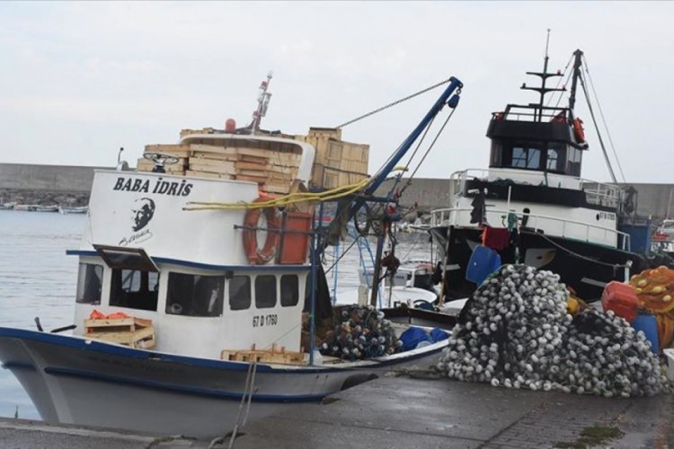 Batı Karadeniz'de balık&ccedil;ılar bu sezon umduğunu bulamadı