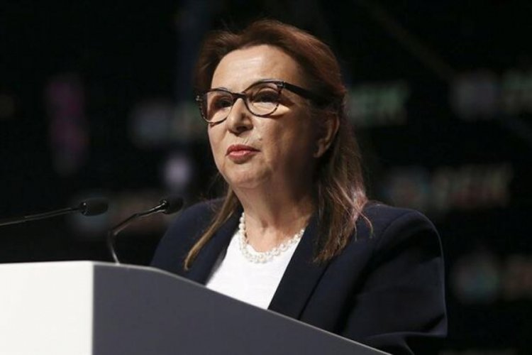 "Kapıkule İpsala ve Hamzabey g&uuml;mr&uuml;k kapılarımızı bu sene tamamlayacağız"