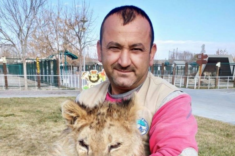 Aslan, yemek veren bakıcısına saldırdı