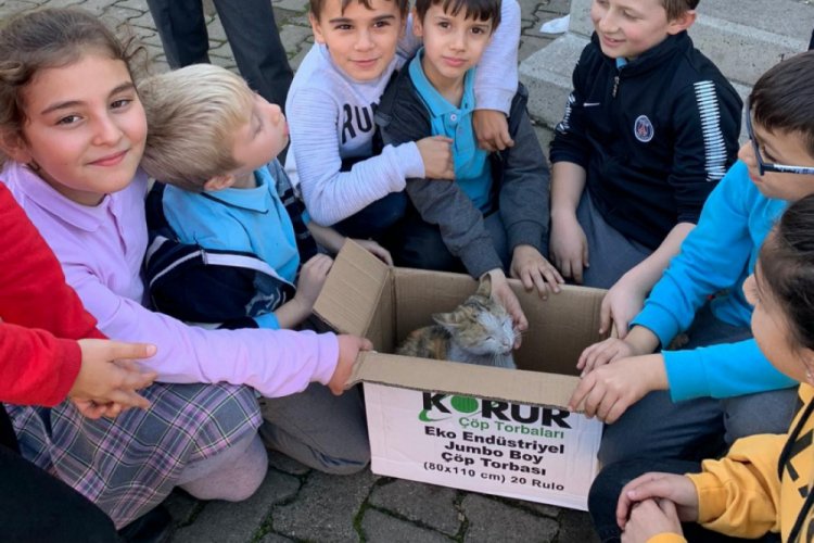 Ayağı kırık kediye &ouml;ğrenciler sahip &ccedil;ıktı