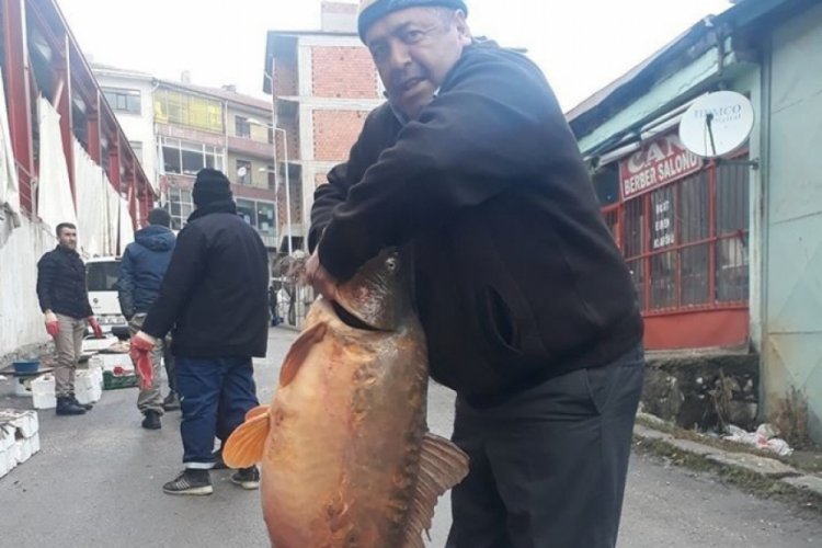Barajdan 25 kiloluk sazan balığı &ccedil;ıktı