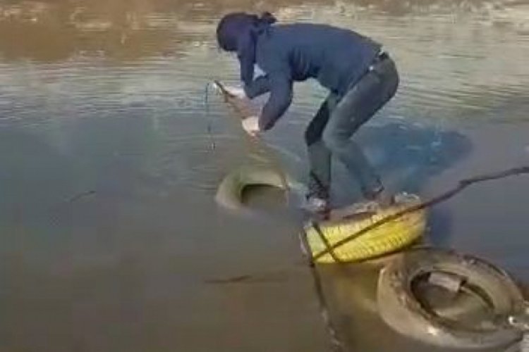 Ağa takılan balığı aile kurtardı