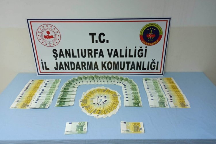 Sahte d&ouml;viz ve tarihi eser ka&ccedil;ak&ccedil;ılığı operasyonu