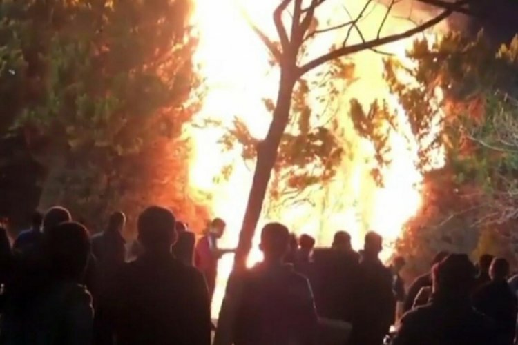 Konak Meydanı'ndaki ağa&ccedil;lar yakıldı