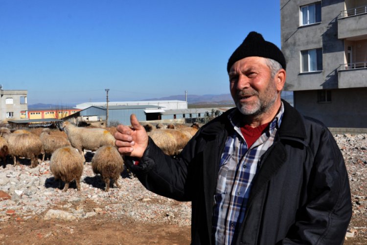 Koyun-ke&ccedil;i vebası rastlanan mahalle karantinaya alındı