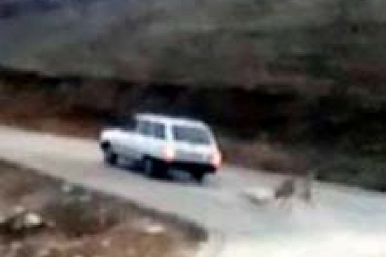 K&ouml;peğini otomobile zincirle bağlayarak s&uuml;r&uuml;kledi