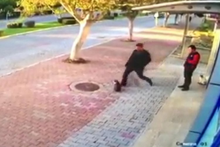 Marketin &ouml;n&uuml;nde duran kedilere tekme attı!
