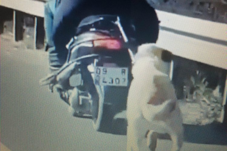 K&ouml;peği motosikletin arkasına bağlayarak g&ouml;t&uuml;ren s&uuml;r&uuml;c&uuml;ye para cezası