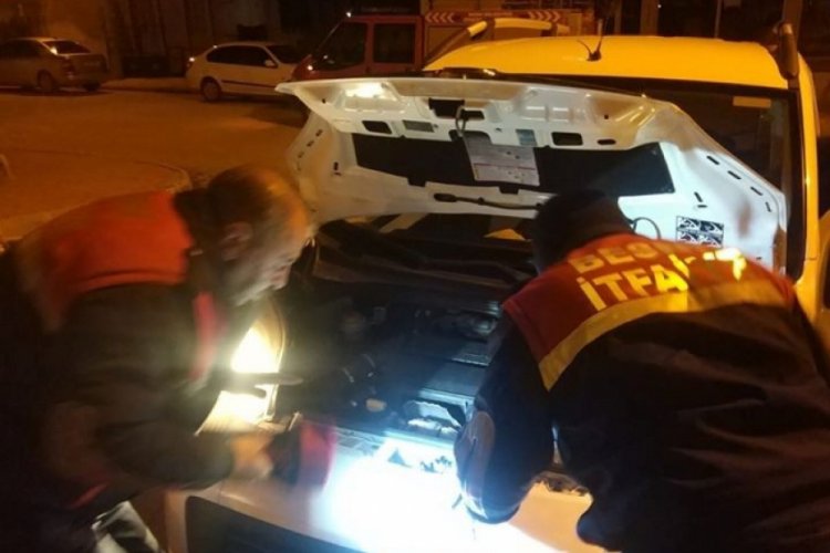 Ara&ccedil; motoruna giren kedi uzun uğraşlar sonunda kurtarıldı