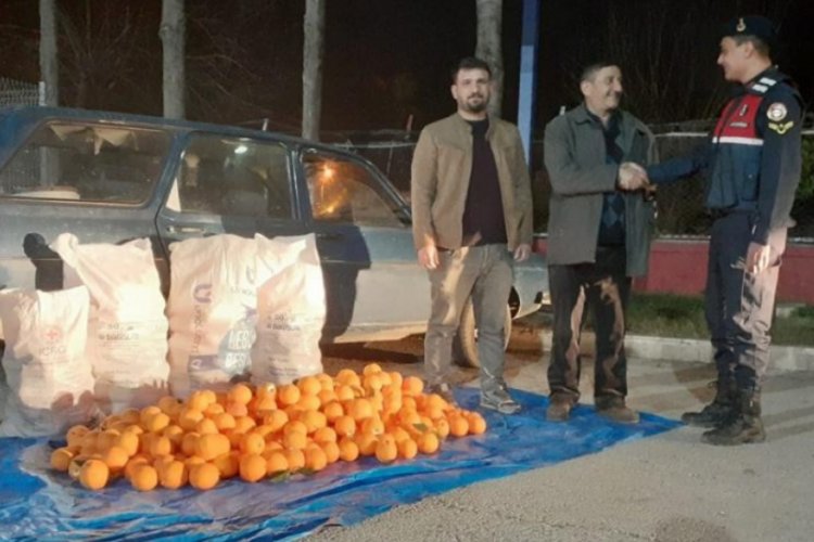 Portakal hırsızları yakalandı