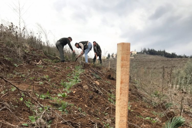 Bursa'da hatıra ormanına fidan dikerek ceza almaktan kurtuldular