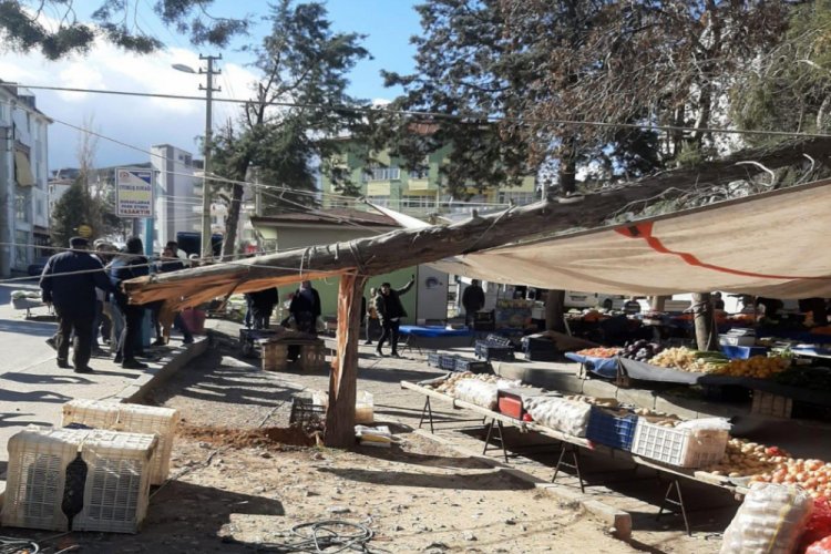 R&uuml;zgarın kırdığı ağa&ccedil;lar pazar yerinin &uuml;st&uuml;ne devrildi