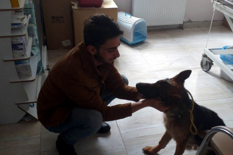 K&ouml;peği sopayla d&ouml;ven şahsa 947 TL ceza verildi