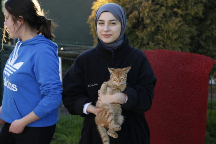 Her okula bir hayvan sahiplendiriliyor