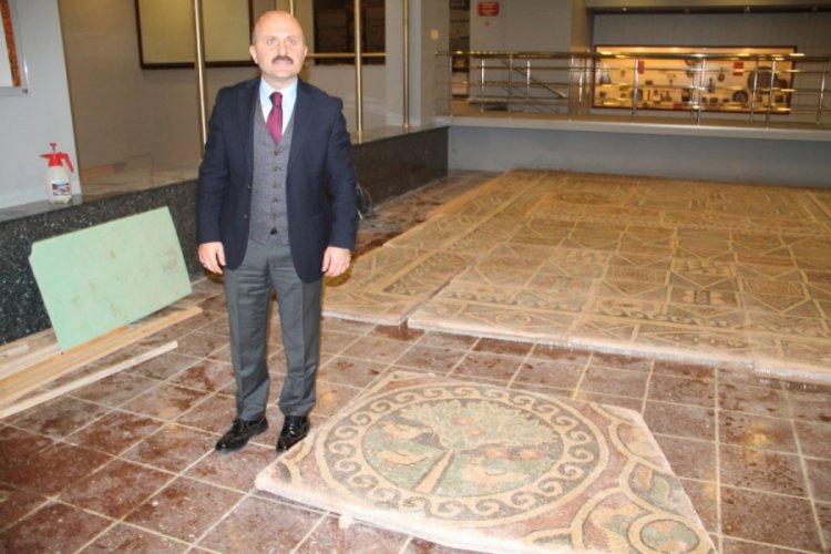 1800 yıllık elmalı mozaik, Amasya Arkeoloji M&uuml;zesi'nde sergilenecek
