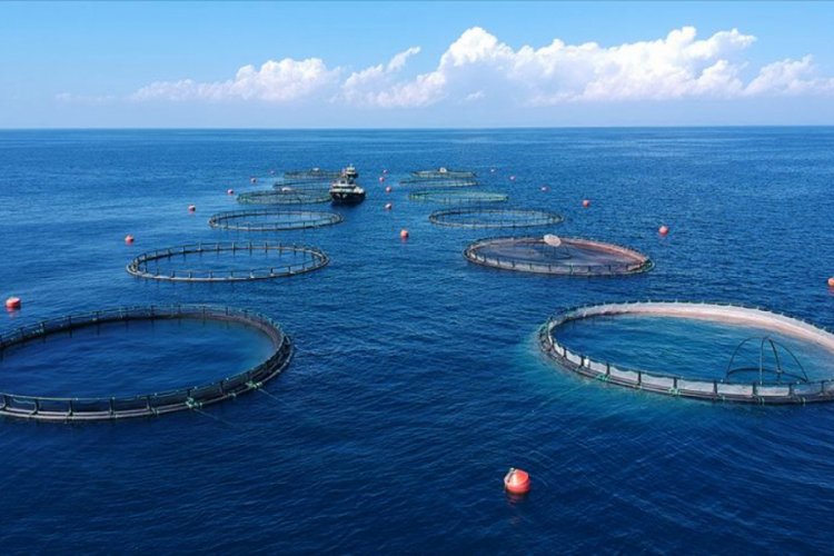 Su &uuml;r&uuml;nleri ihracatından ocakta 90,5 milyon dolarlık gelir