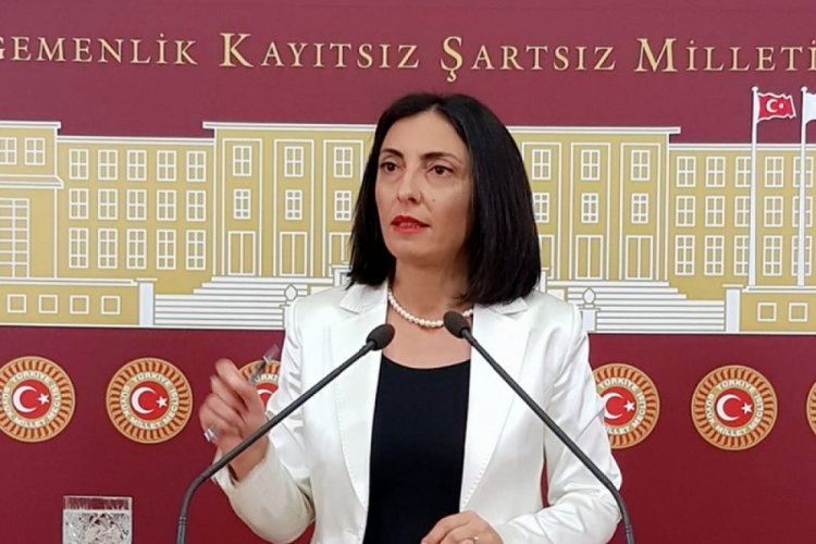 Bursa Milletvekili Kayışoğlu'ndan elektromanyetik kirlilik &ouml;nergesi