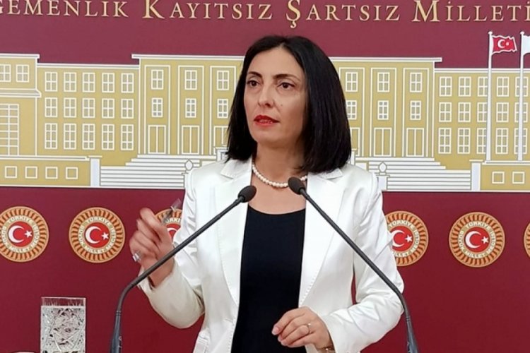 CHP Bursa Milletvekili Kayışoğlu, elektromanyetik kirliliği Meclis g&uuml;ndemine taşıdı