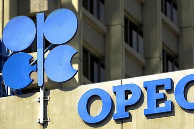 OPEC petrol kesintisi &ouml;nerdi