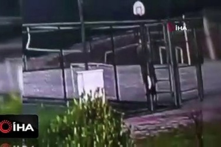 K&ouml;peği defalarca tekmeleyen adam serbest!