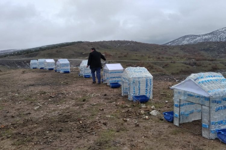 Pet şişelerden barınak yaptılar
