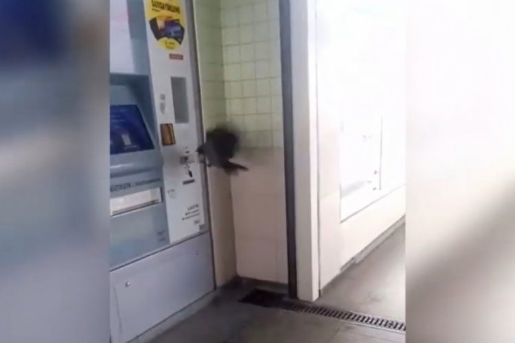 Akbiline y&uuml;kleyeceği parasını kargaya kaptırdı