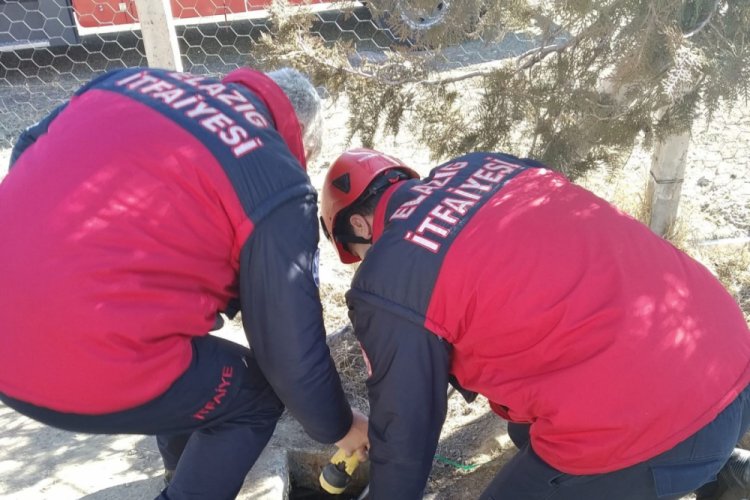 Mahsur kalan yavru k&ouml;pekler kurtarıldı