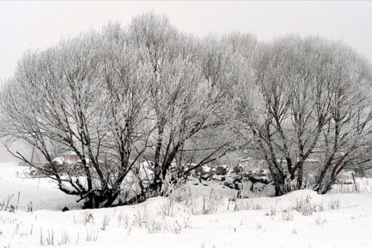 Ardahan'ın G&ouml;le il&ccedil;esi eksi 39 dereceyi g&ouml;rd&uuml;