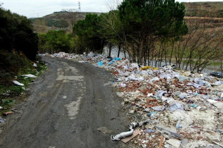 Ormanı molozla doldurdular
