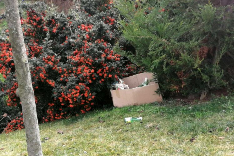 Yol kenarına bırakılan kutu polisi alarma ge&ccedil;irdi
