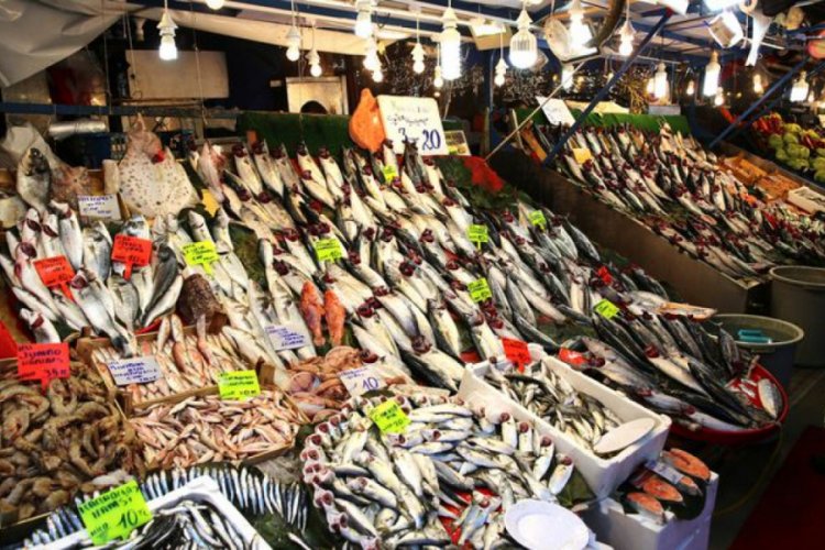 Şubat ayında hangi balıklar yenir?