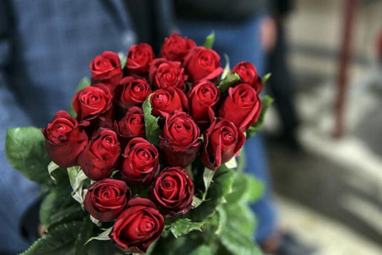 G&uuml;lde 5 yıllık ticaret hacmi 22,2 milyon dolar oldu