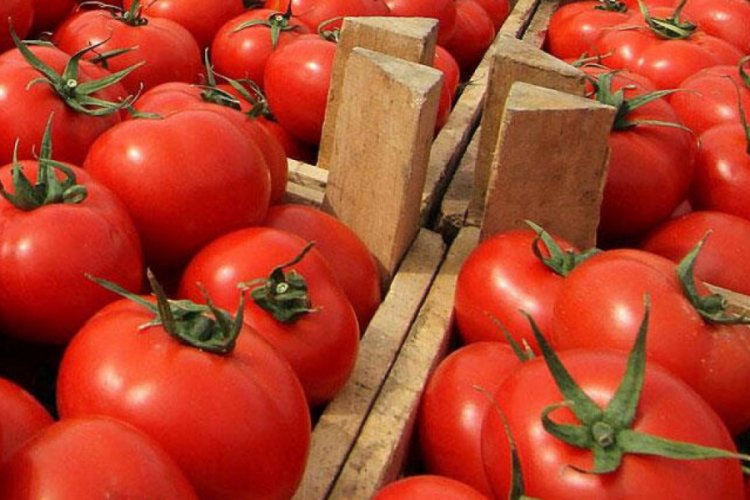 İstanbul'da en &ccedil;ok domates ve karpuz satıldı