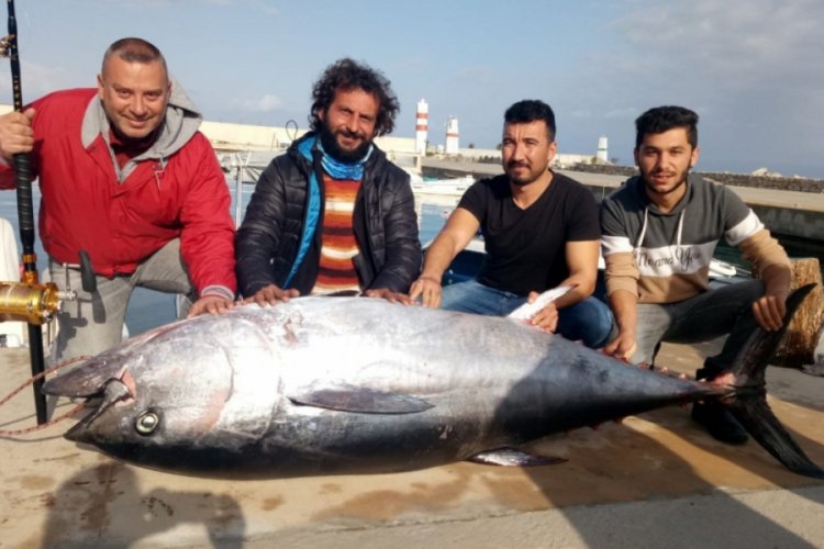 Dev orkinos amat&ouml;r balık&ccedil;ıları 8 saat s&uuml;r&uuml;kledi