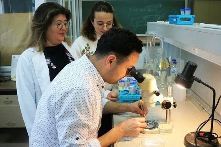 G&ouml;k&ccedil;eada'da keşfedilen t&uuml;rler d&uuml;nya literat&uuml;r&uuml;ne girdi