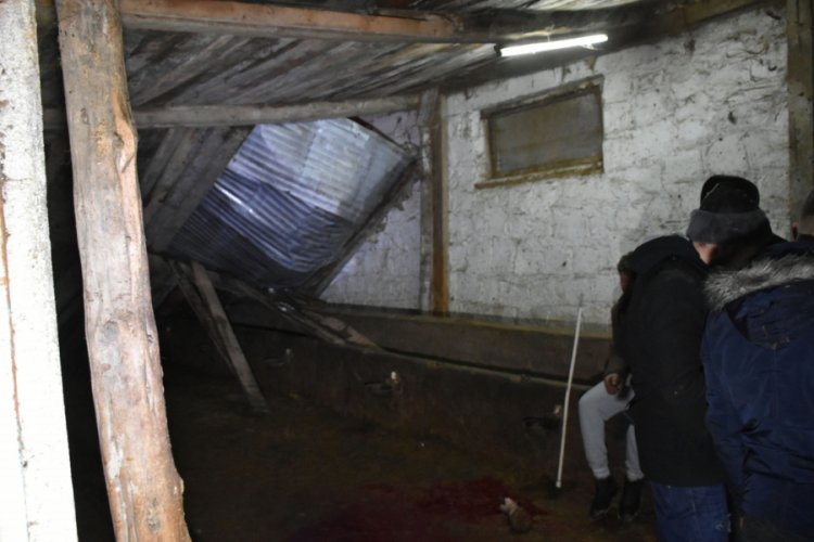 Kar birikintisi nedeniyle ahırın &ccedil;atısı &ccedil;&ouml;kt&uuml;