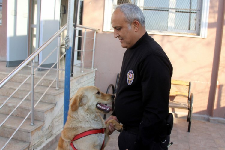 Kaybolan k&ouml;pek karakola sığındı