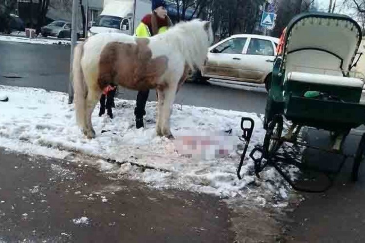 At ile otomobil &ccedil;arpıştı!