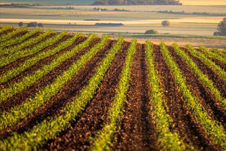 Bosna Hersek Anayasa Mahkemesinin 'tarım arazileri' kararı &uuml;lkeyi gerdi
