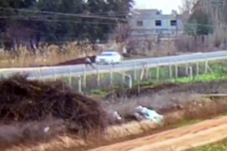 15 yaşındaki &ccedil;ocuk kazada hayatını kaybetti