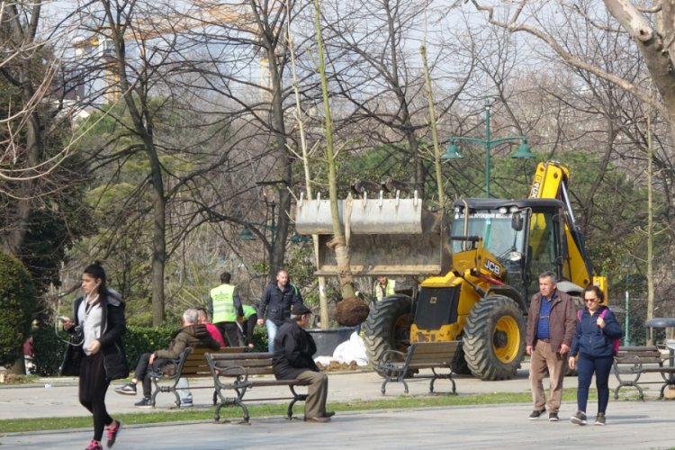Gezi Parkı'na 150 yeni ağa&ccedil; dikiliyor