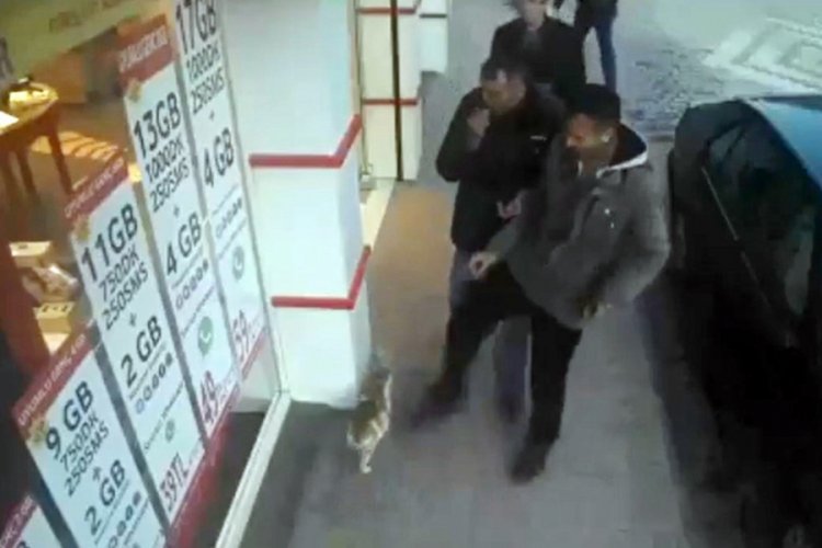 Kediye tekme atan şahsa para cezası