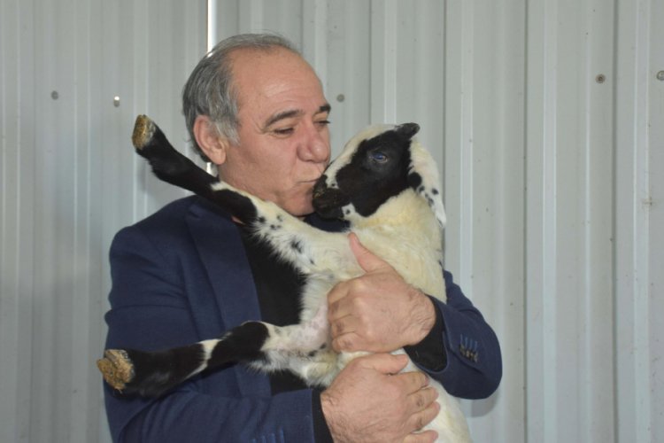 &Ccedil;obandı, fabrikat&ouml;r oldu, koyunlarını unutmadı