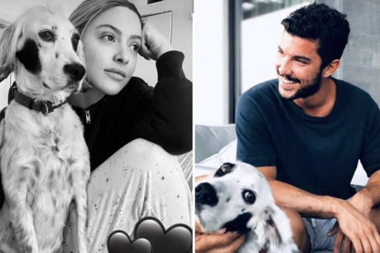 Hadise Kaan Yıldırım aşkında yeni gelişme! Kriz mi &ccedil;ıktı?